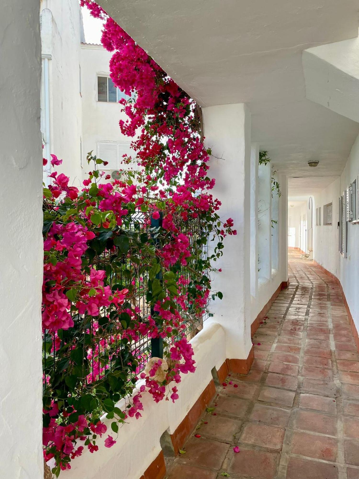 Sun Castle Apartment Fuengirola Exterior photo